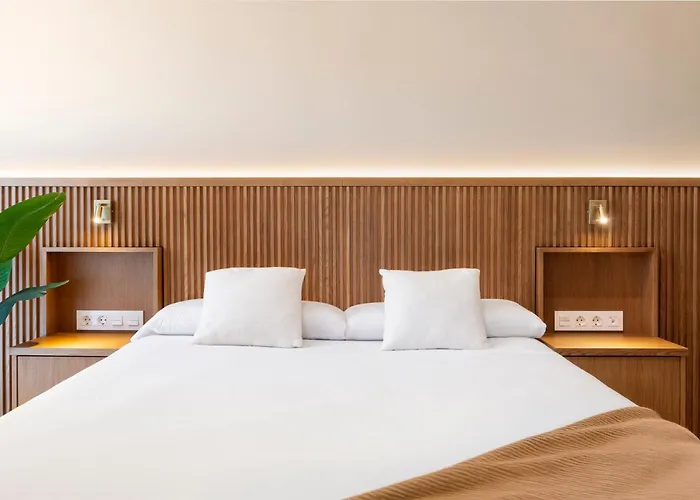 Monkeys Calatrava Deluxe *